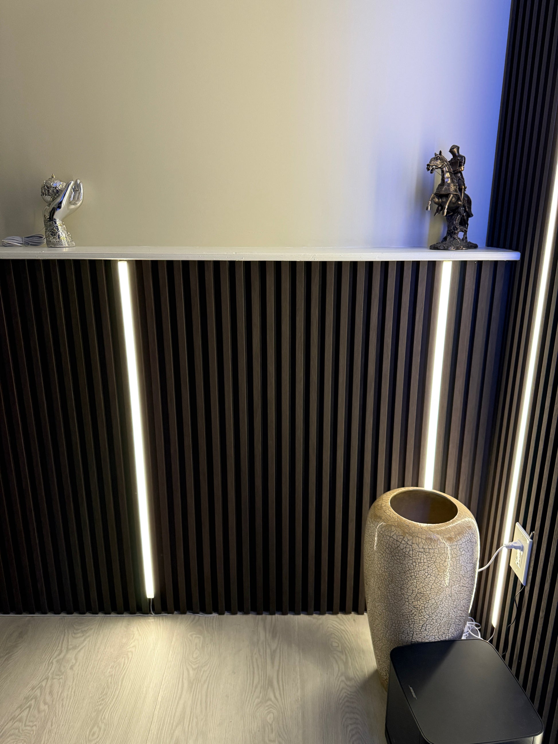 Modern interior with black wall panels and led lights
