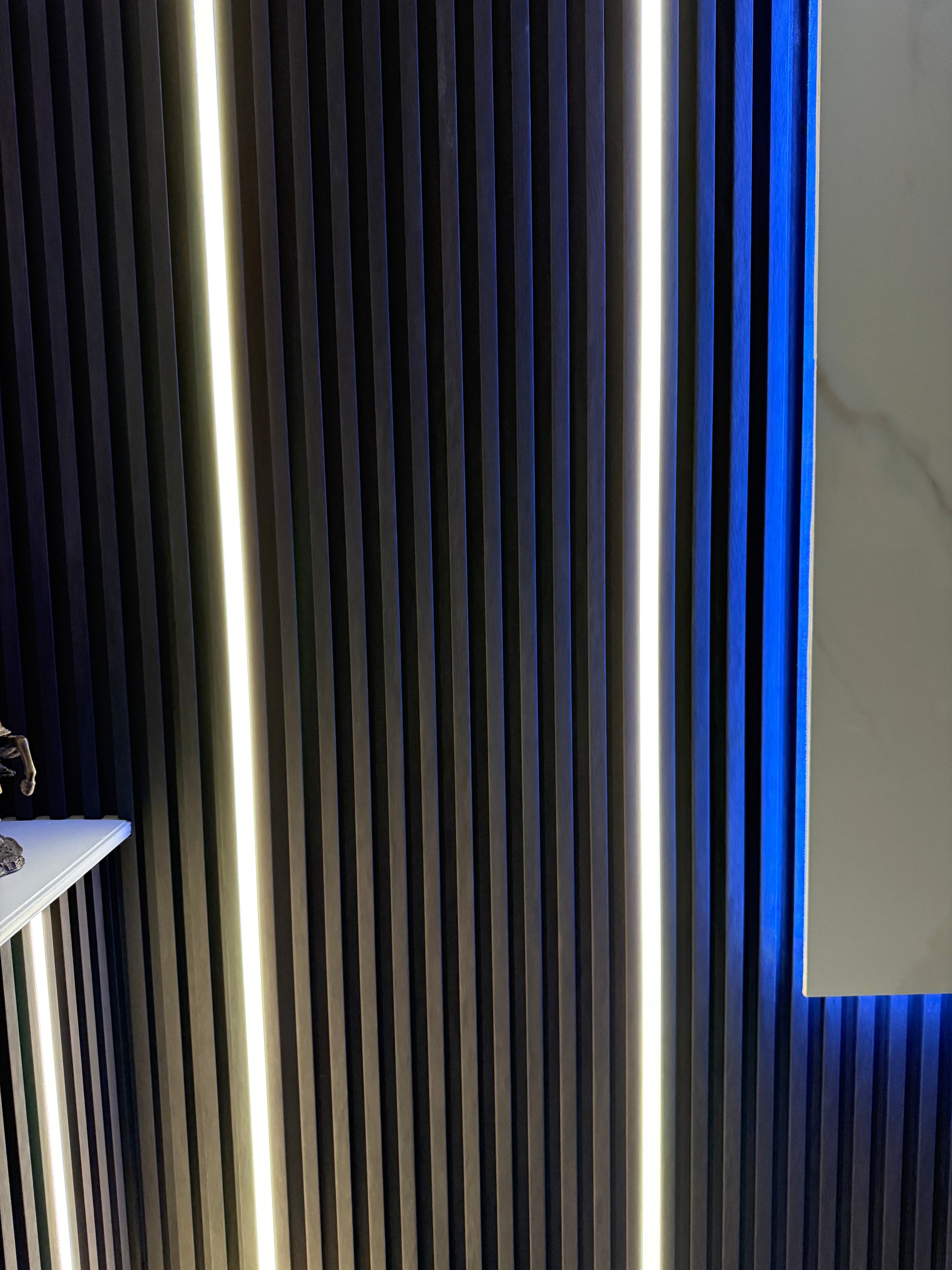 Modern  interior with black wall panels and led lights